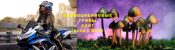 Альфа ПВП Нефтекумск