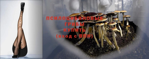 твердый Нефтегорск